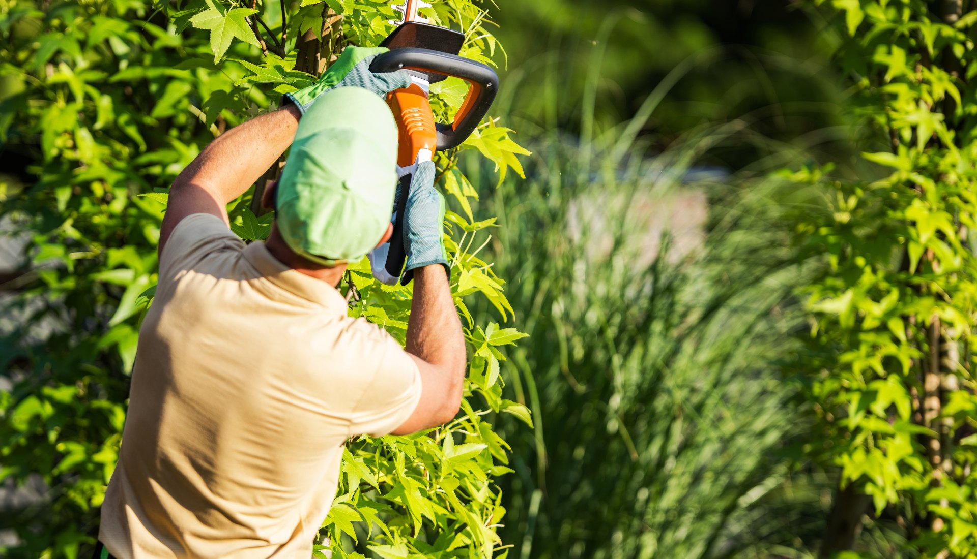 Pourquoi entretenir son jardin toute l’année ?