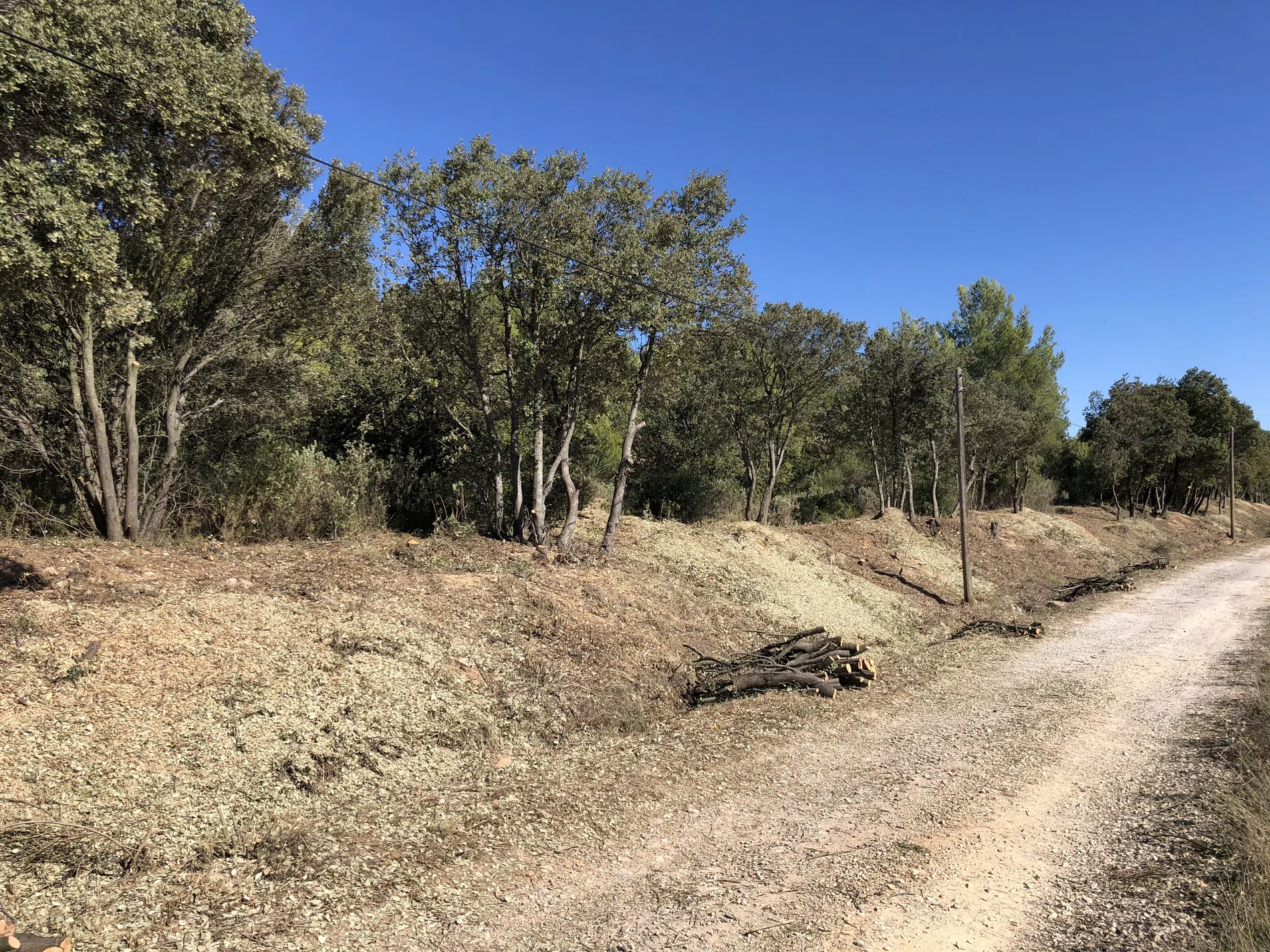 Réalisation DEA Paysages